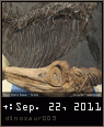 dinosaur003