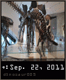 dinosaur005