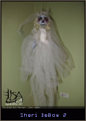 Sheri DeBow 2