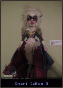 Sheri DeBow 3
