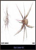 Spider2