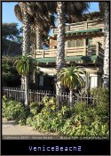 VeniceBeach2