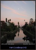 VeniceBeach5