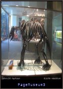PageMuseum3