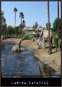 LaBrea tarpits1