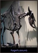 PageMuseum1