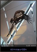 dinosaur004