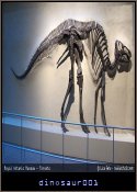 dinosaur001