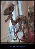 dinosaur007